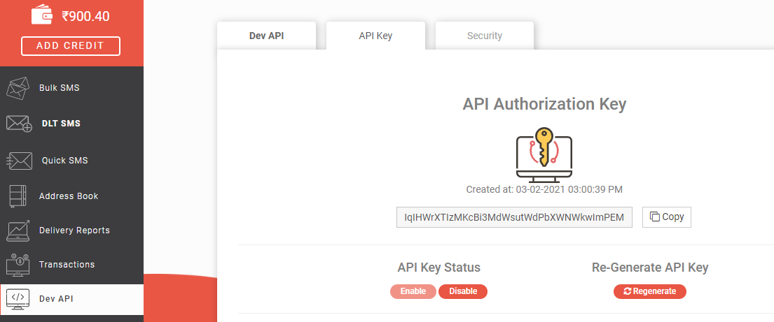 API authorization key