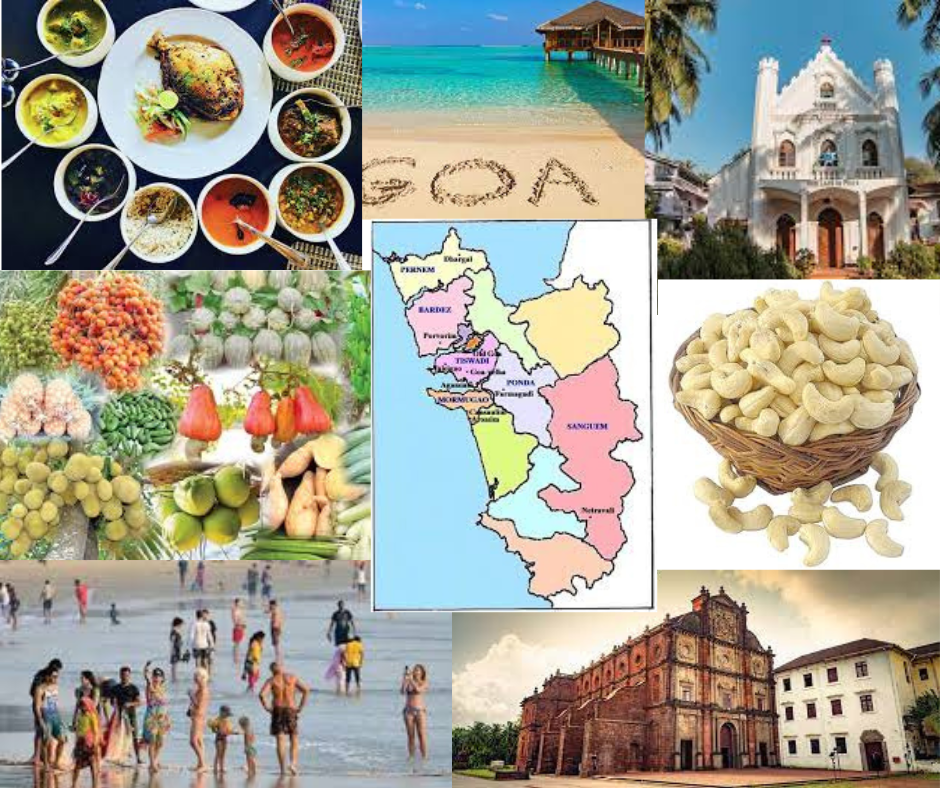 Bulk SMS service in Goa