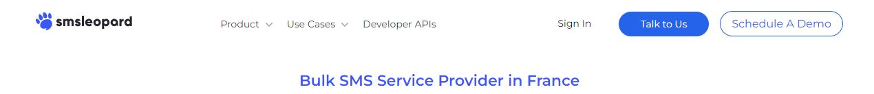 SMS leopard bulk SMS service provider in France