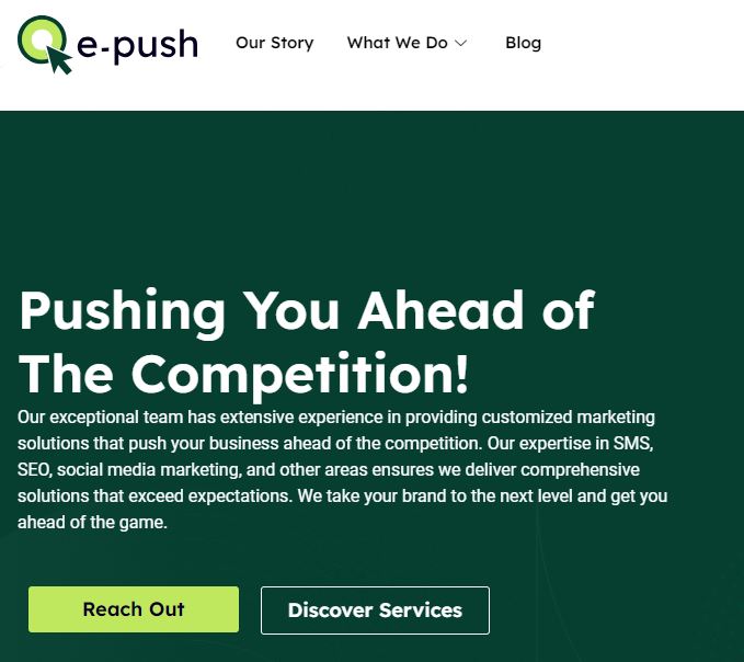 e push bulk SMS service provider in Egypt