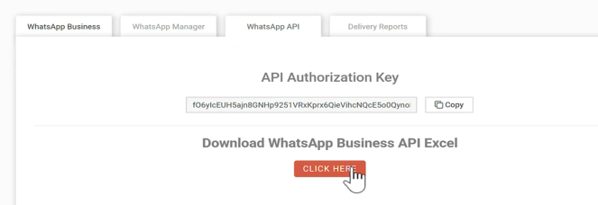 API authorisation key