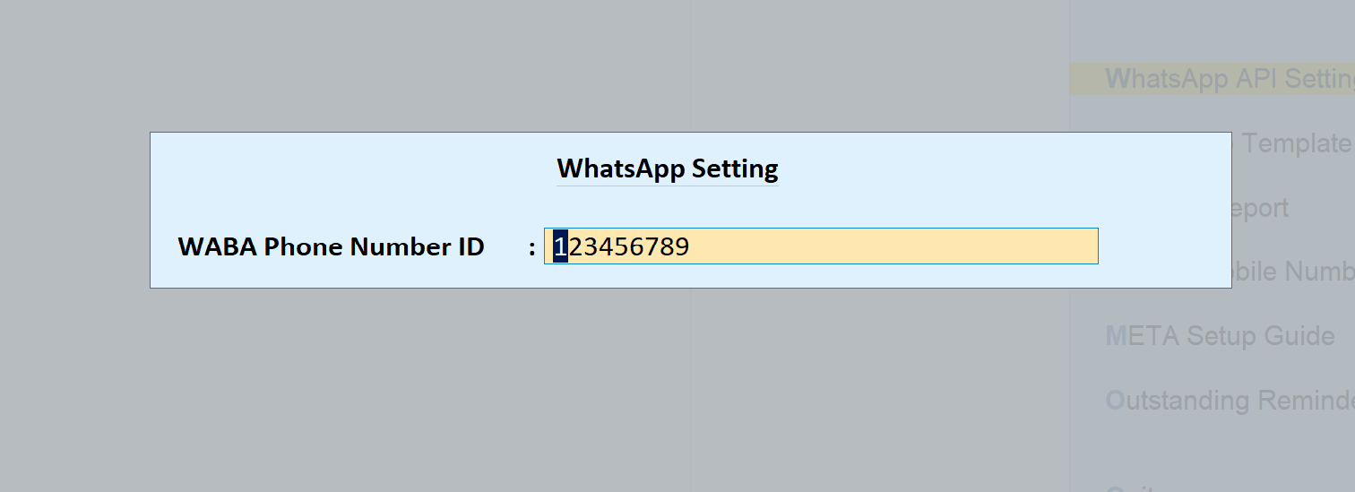 WhatsApp setting in Tally with the default WABA phone number ID 123456789